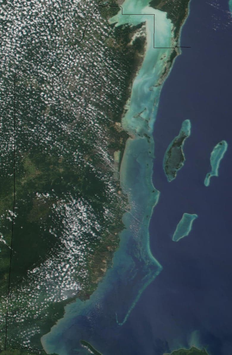 Colourful coral and tropical fish beneath the clear Caribbean Sea