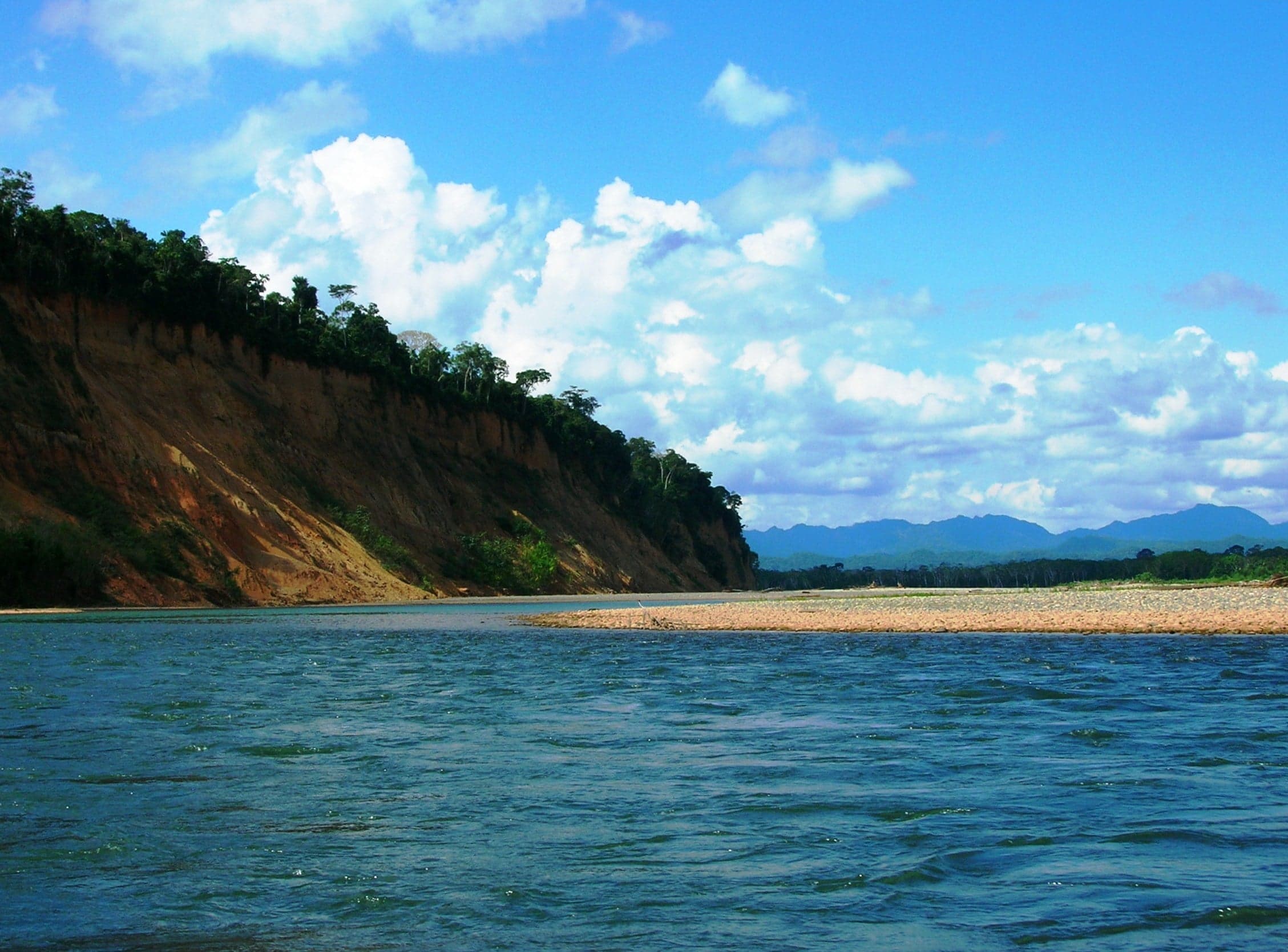 Dense green rainforest canopy in Madidi National Park with a winding river below