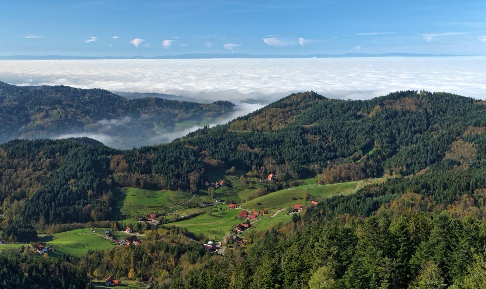 A view across the green hills and dense forest of Germany's Black Forest