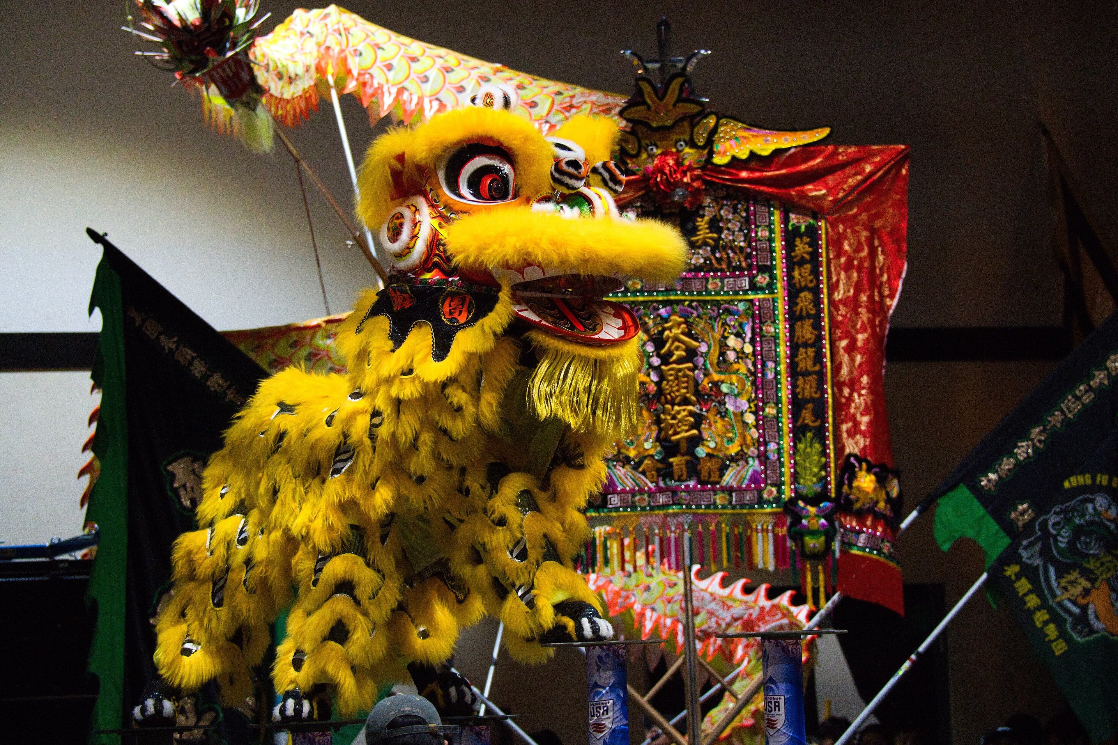 Two performers inside a colourful lion dance costume with drums and cymbals in the background