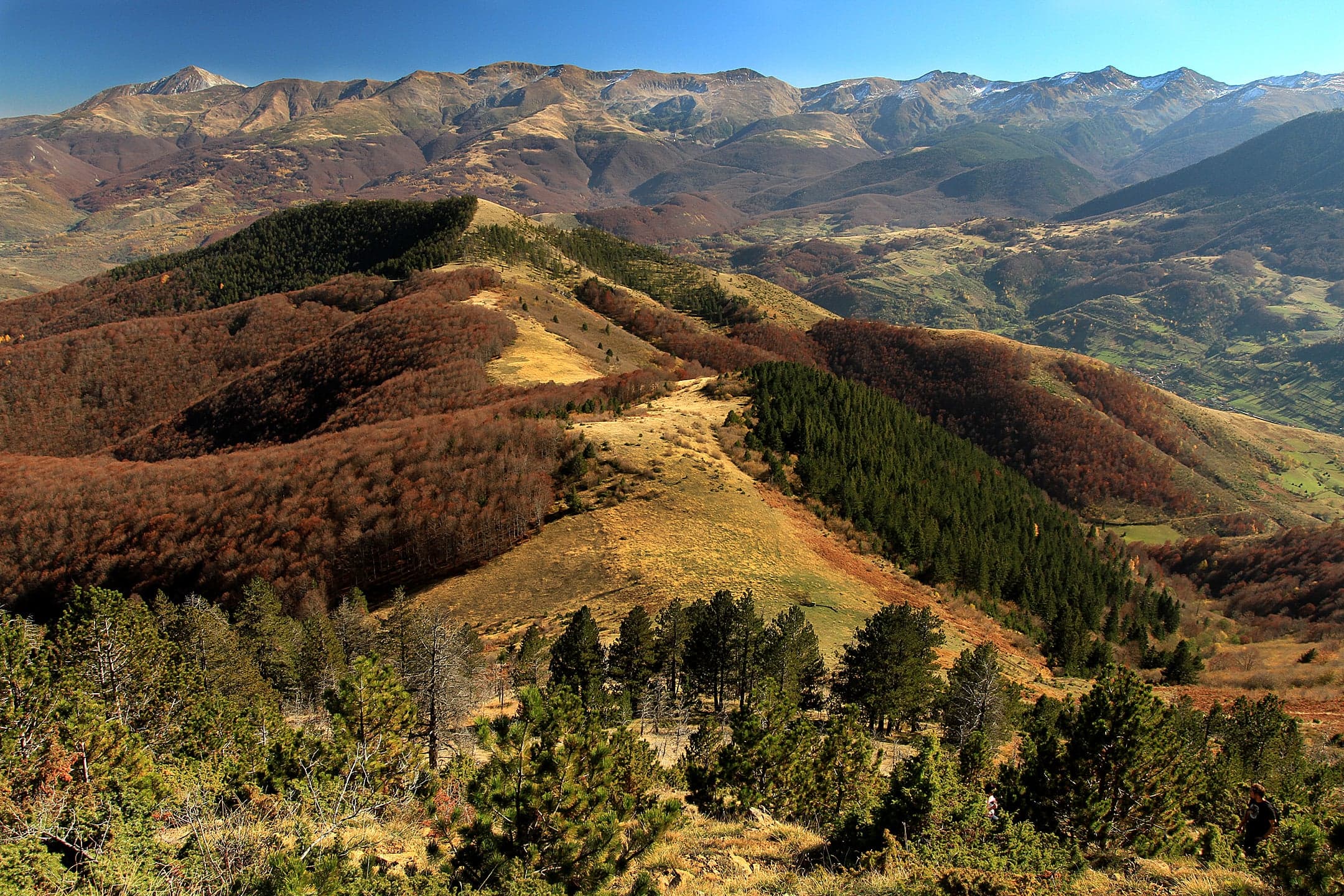 Green alpine meadows and snow-capped peaks in the Sharr Mountains