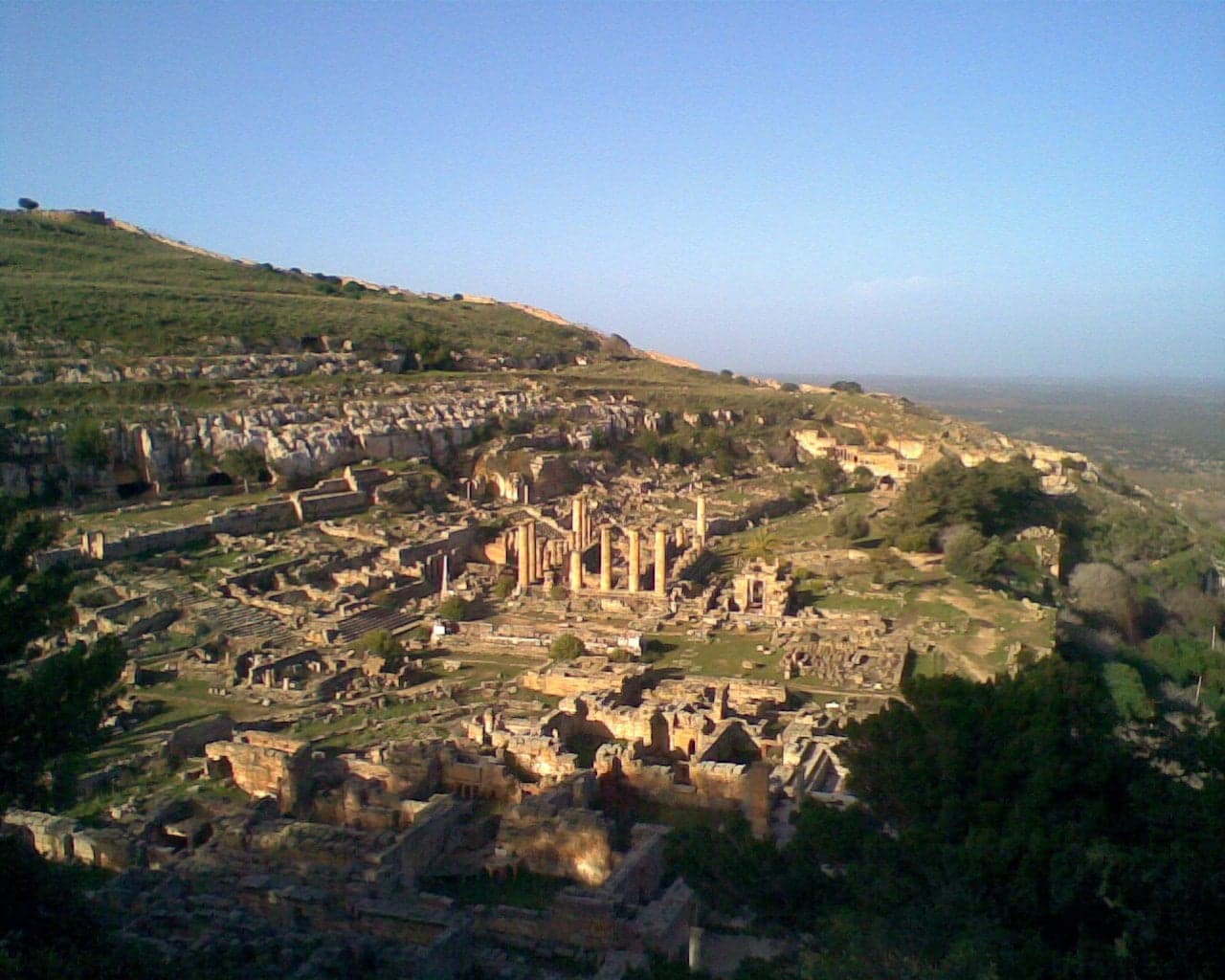 Ruins of the Temple of Zeus at Cyrene surrounded by wildflowers and olive trees
