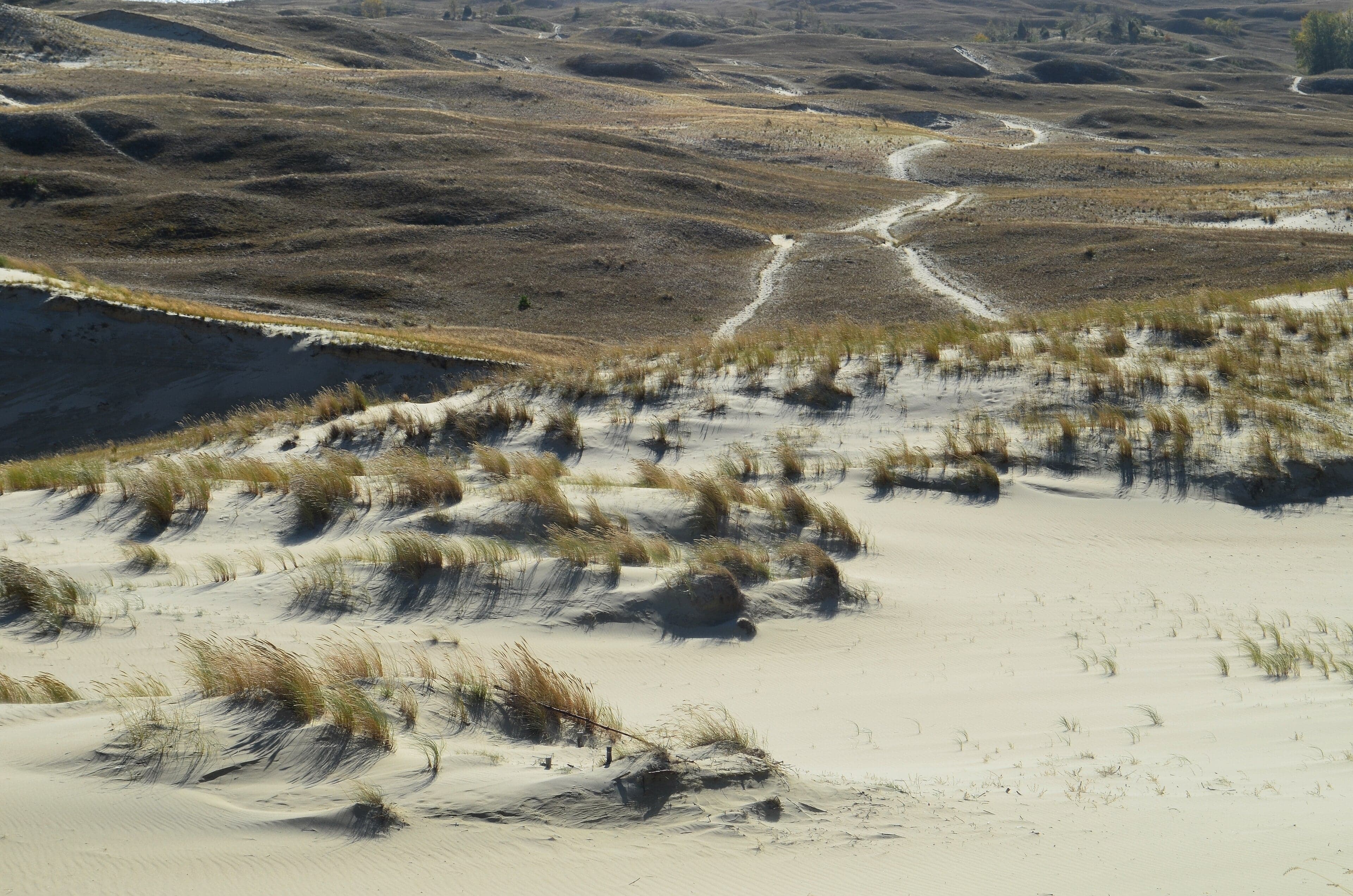 Towering golden sand dunes on the Curonian Spit with the Baltic Sea in the distance