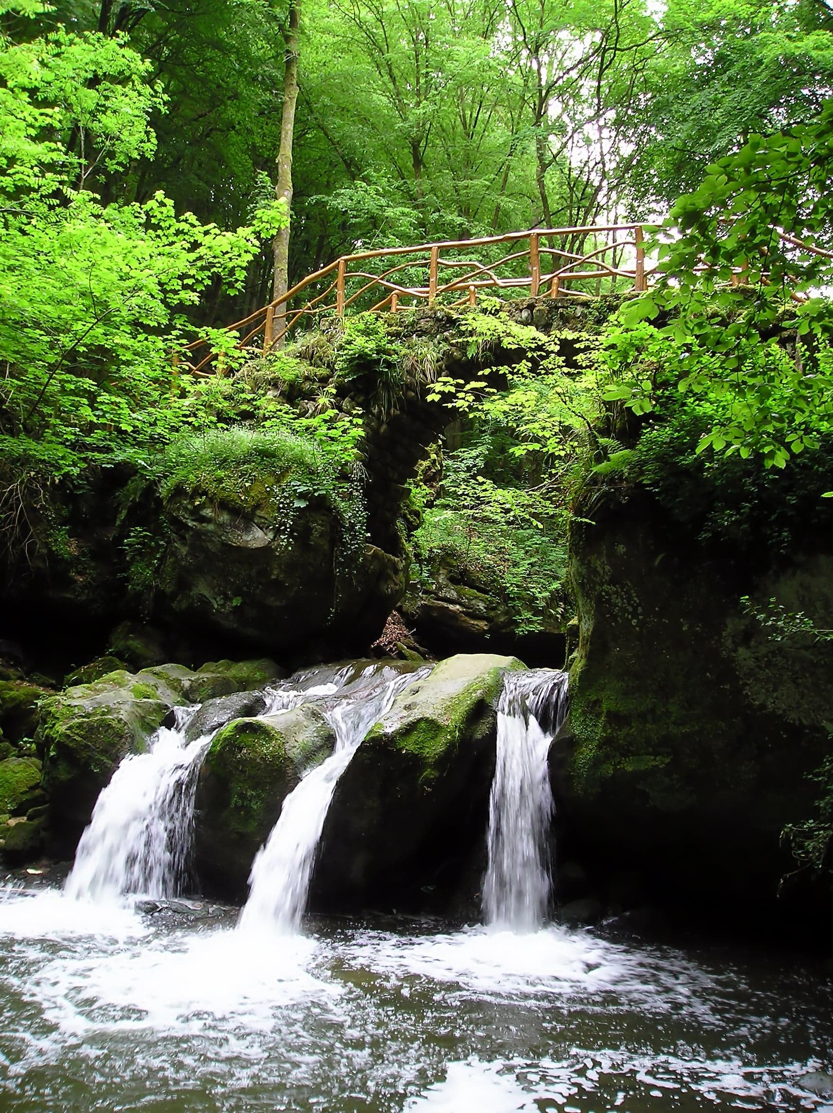 Mossy sandstone rocks and forest streams in the Mullerthal region