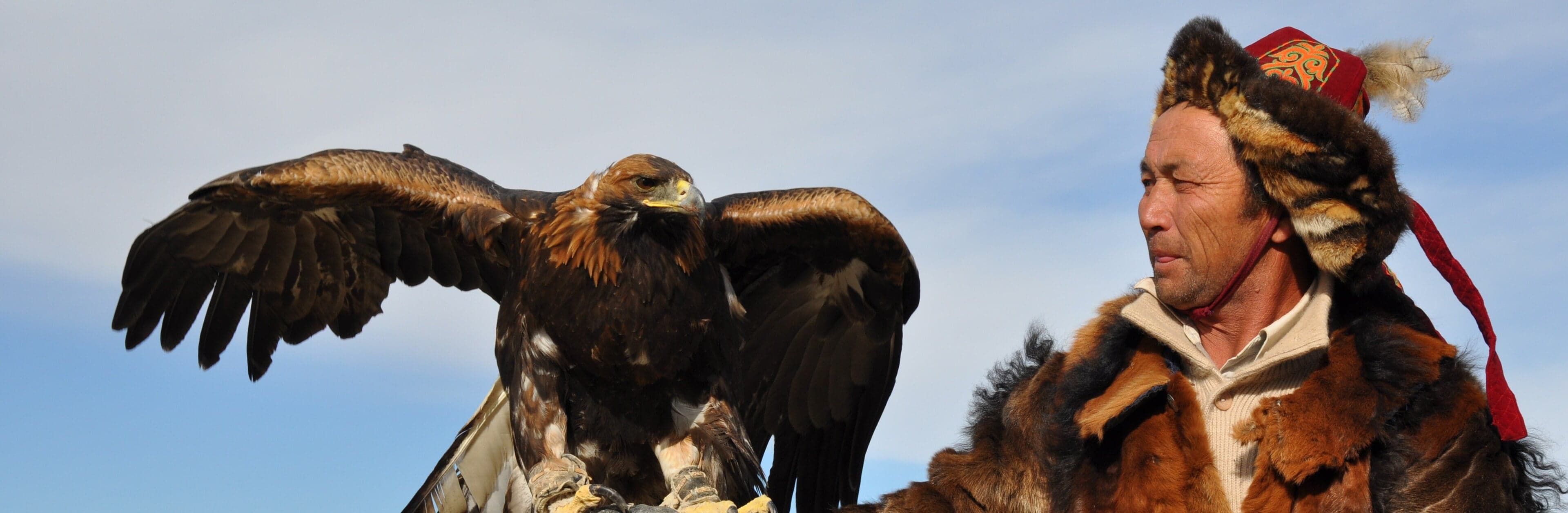 A Kazakh eagle hunter on horseback with a huge golden eagle on their arm in the Altai mountains