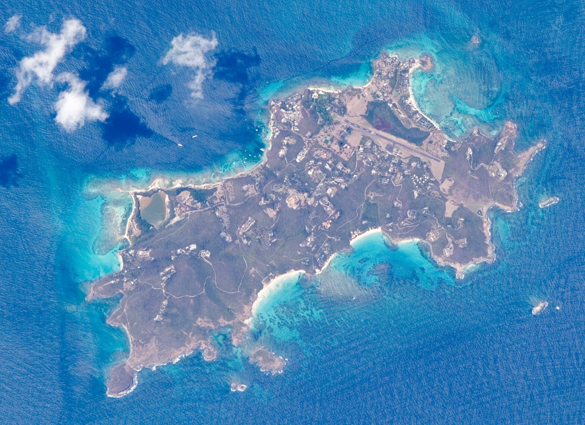 A white-sand beach backed by palm trees on Mustique island
