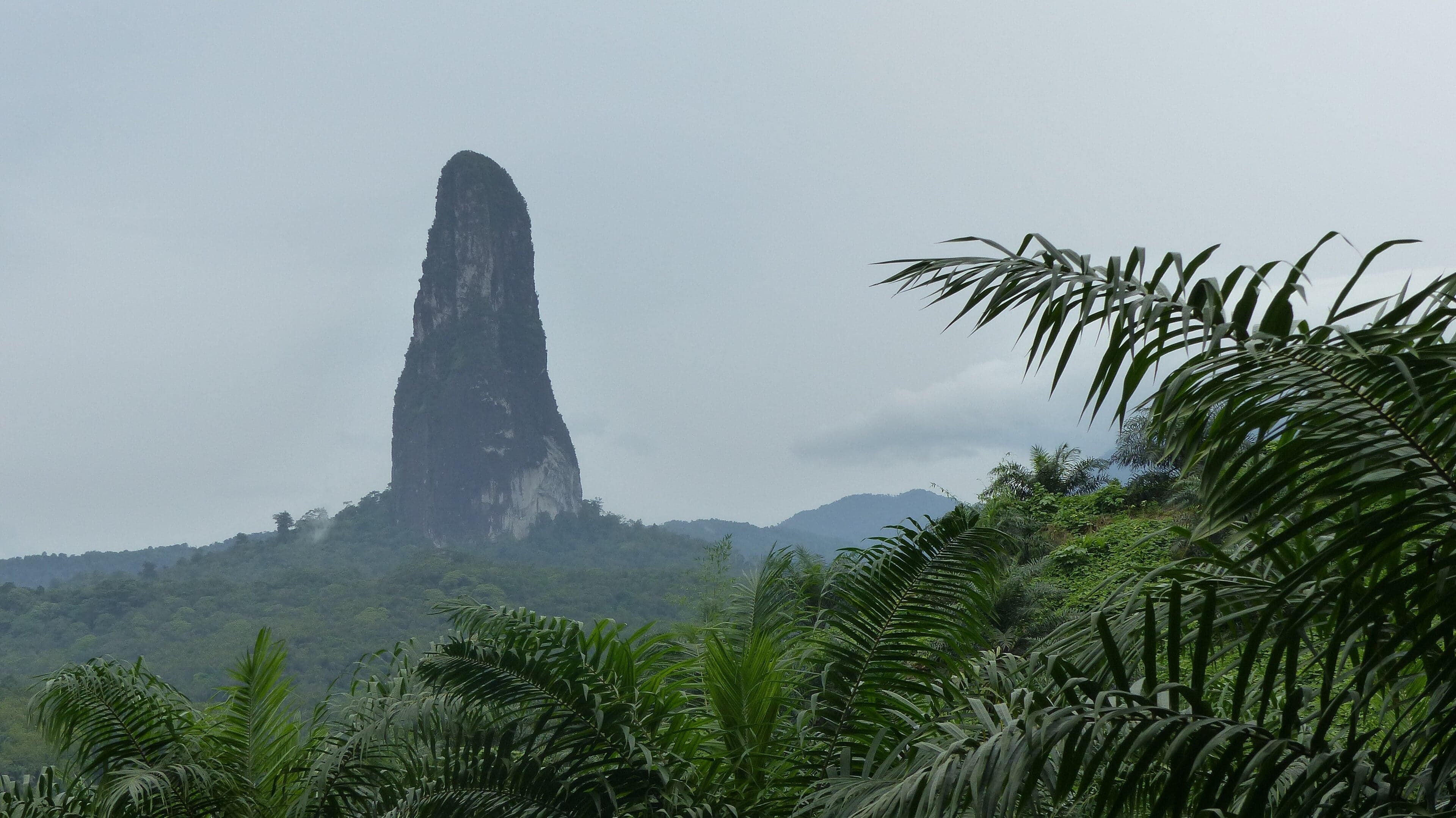 Pico Cão Grande volcanic plug rising sharply out of green rainforest