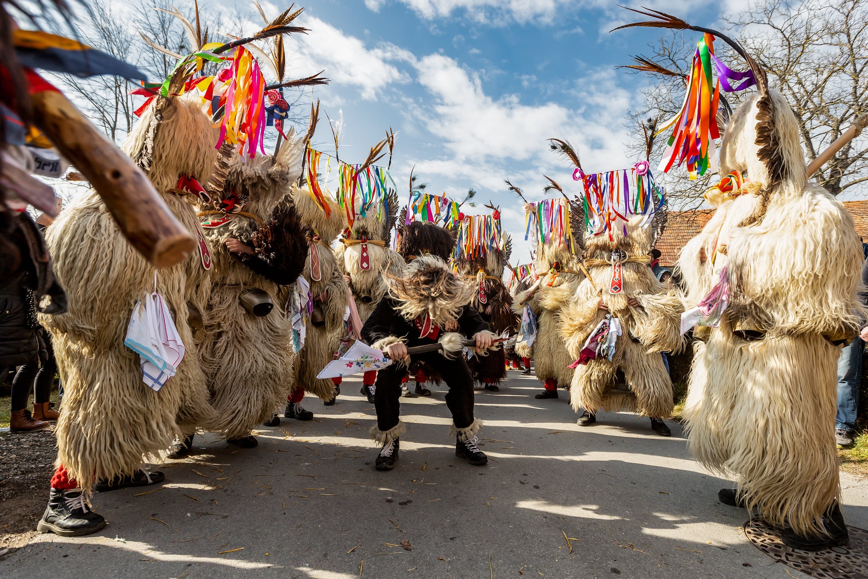 A Kurent in sheepskin costume with horns and cowbells, dancing in the street