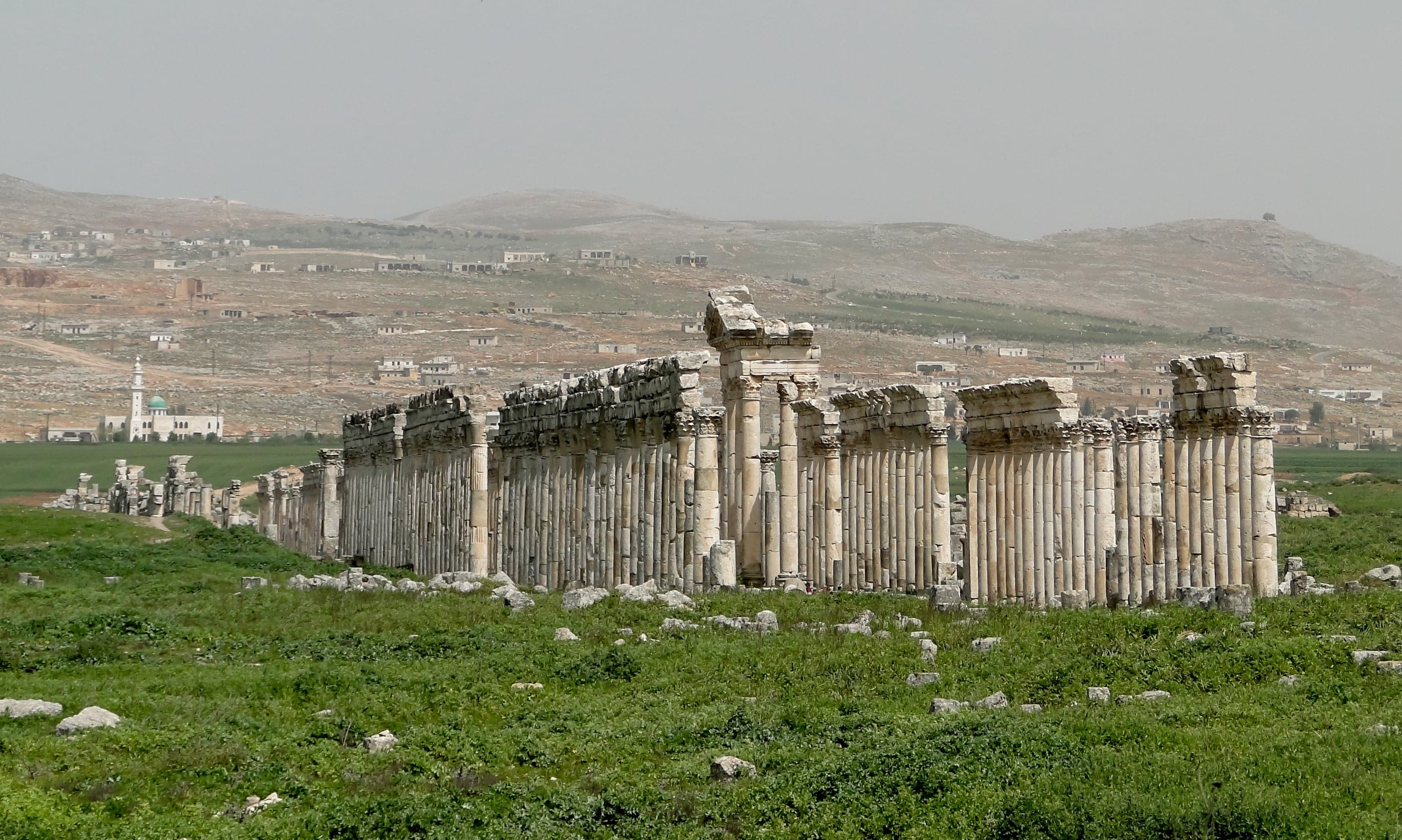 A long row of spiralling Roman columns stretching across a flat plain at Apamea