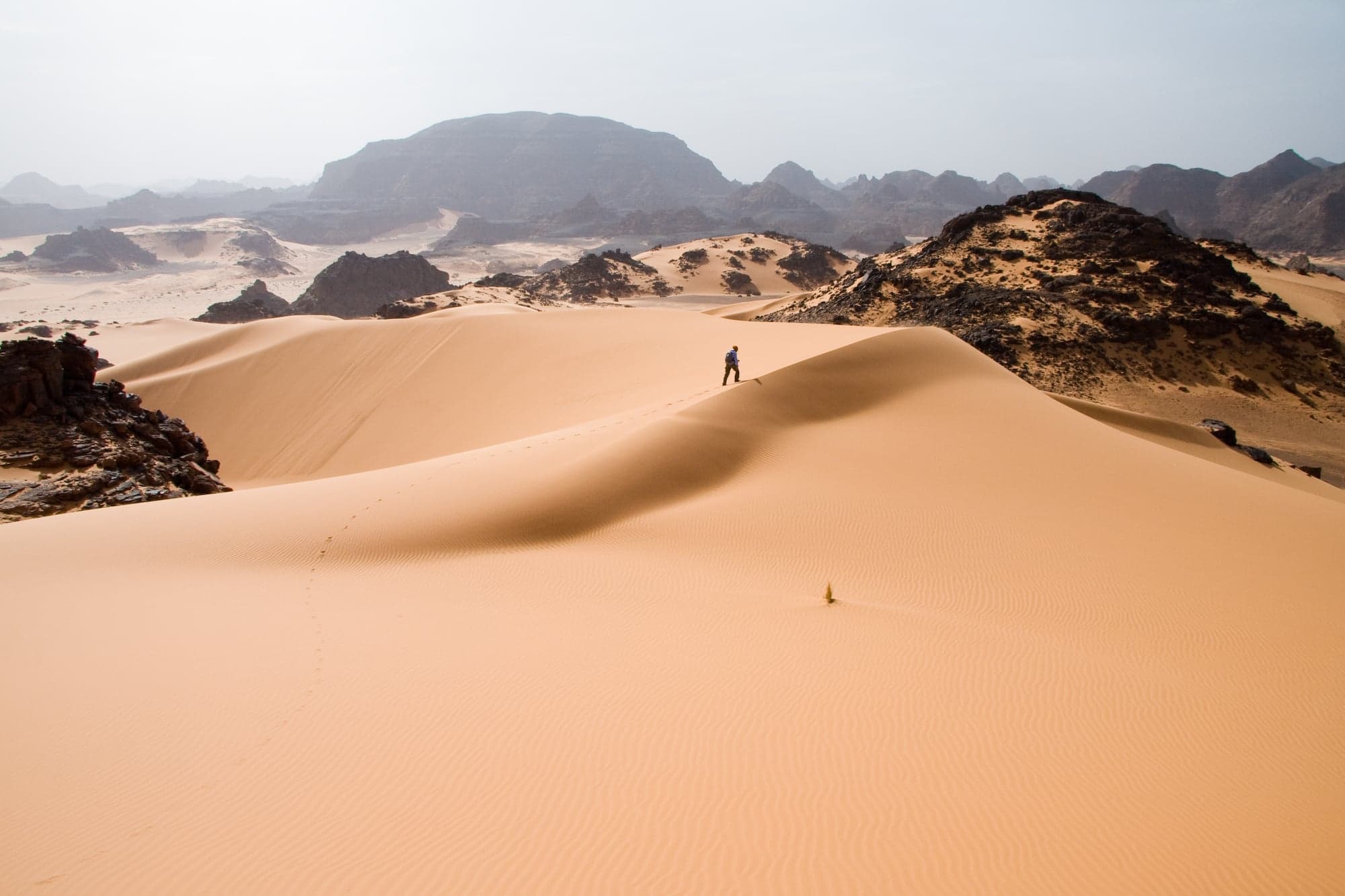 Sweeping golden sand dunes in Western Sahara under a bright blue sky