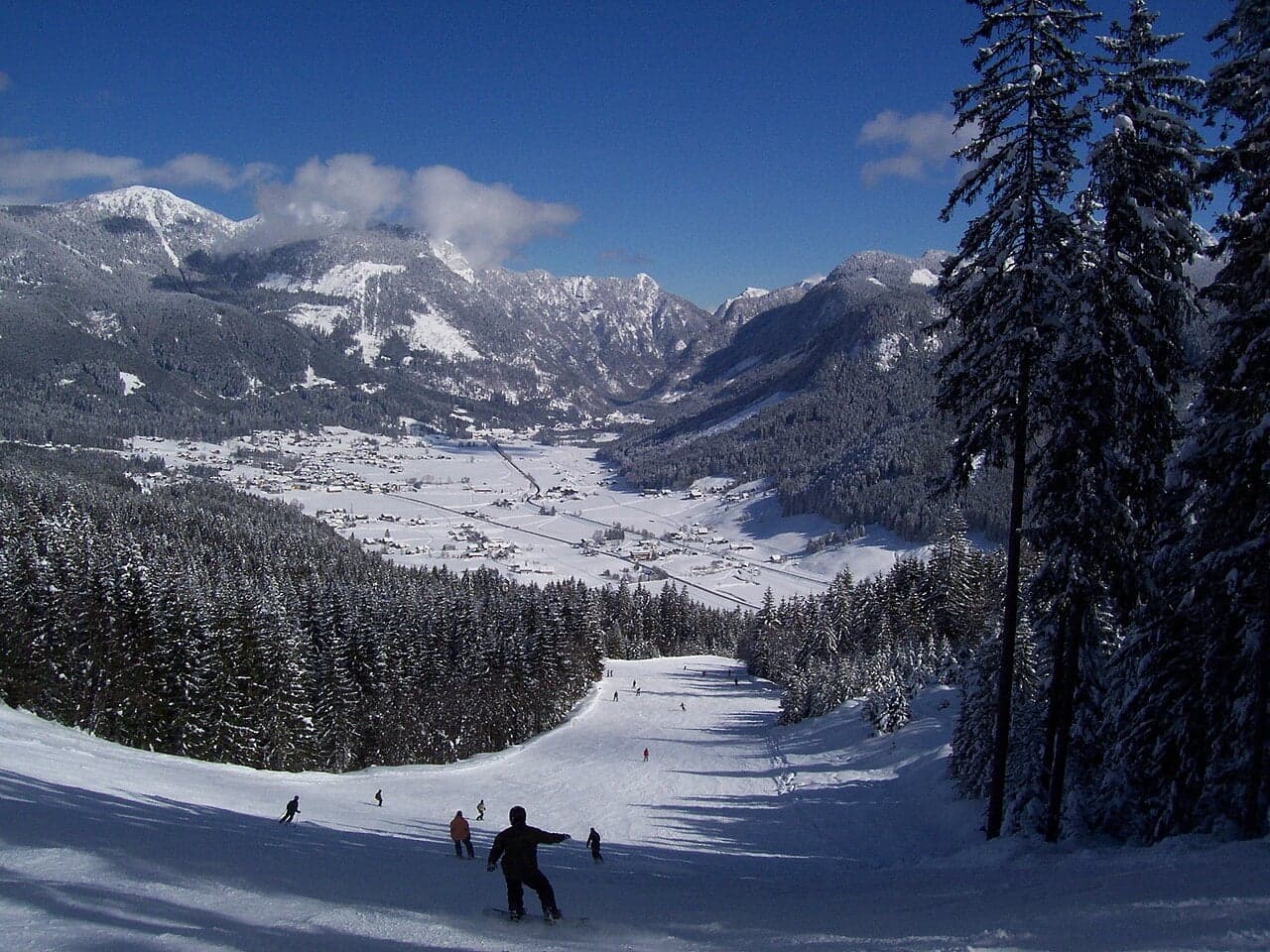 Skiers in colourful ski suits on bright white slopes with a pine-forested mountain behind them