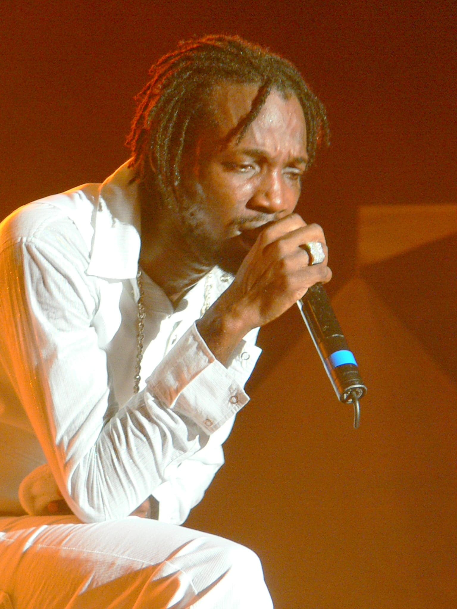 A huge crowd watching a performer on a brightly lit outdoor stage at night at Reggae Sumfest