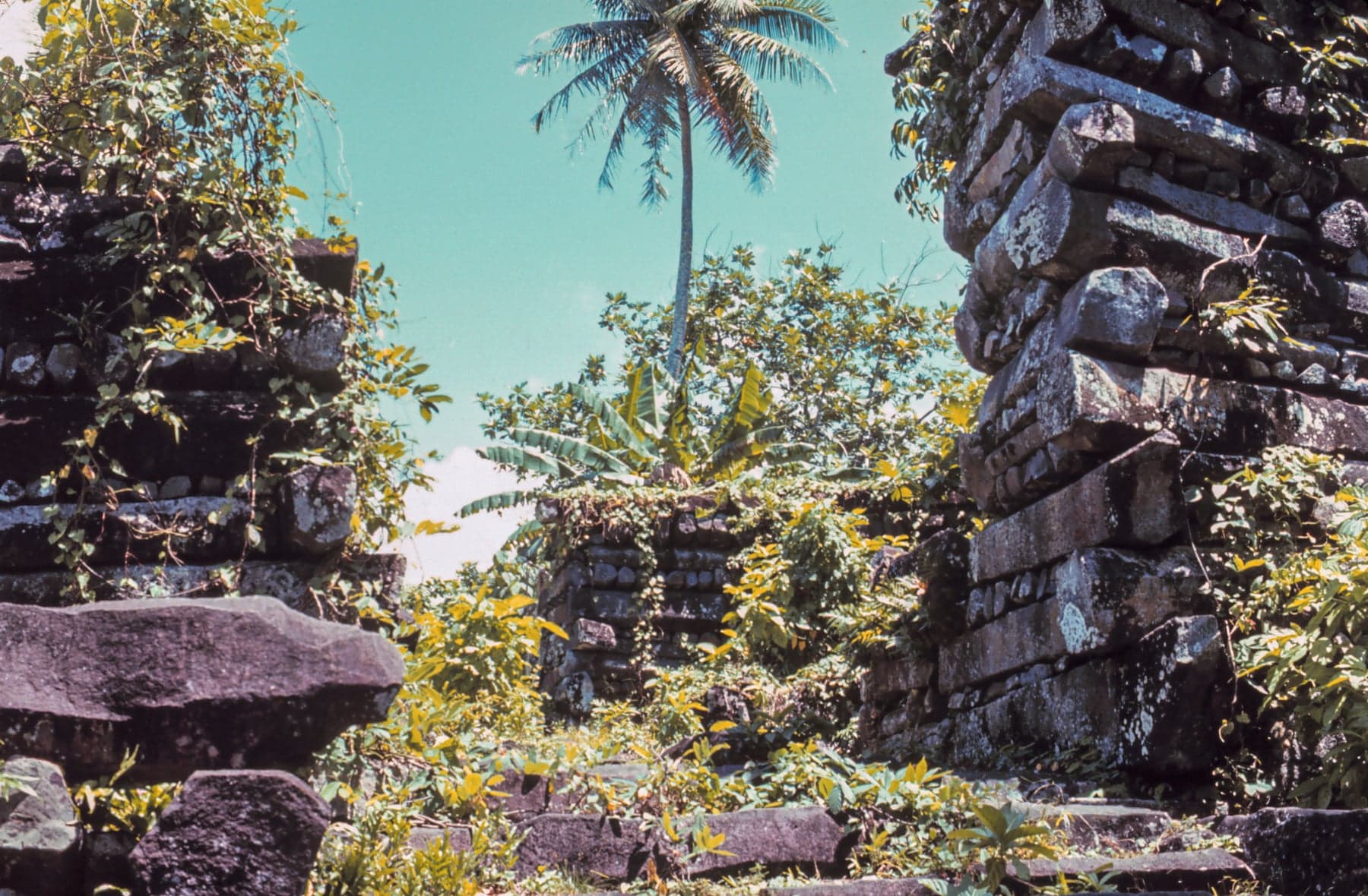 Ancient stone walls of Nan Madol rising from the water on the coast of Pohnpei