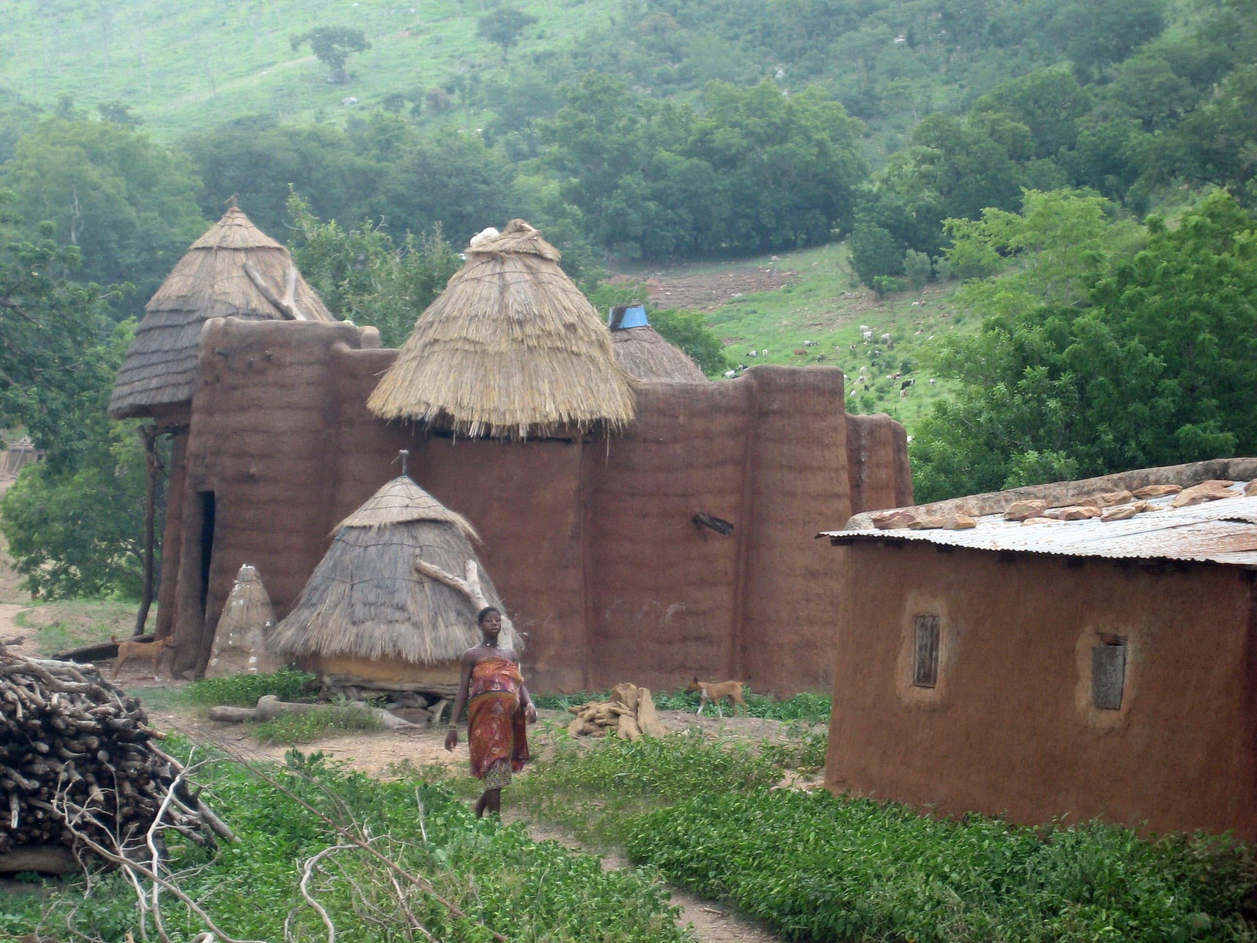 Tall mud-tower houses with conical thatched roofs in the Koutammakou landscape